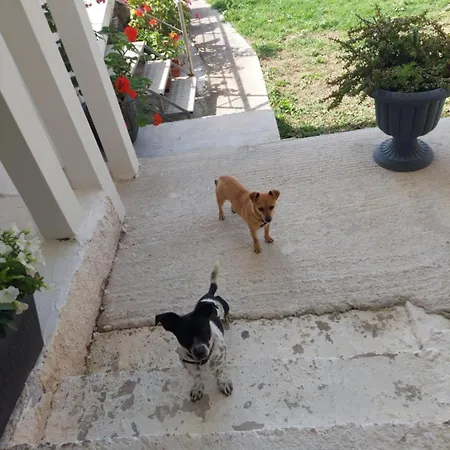 Baso Hilltop 3 アパート