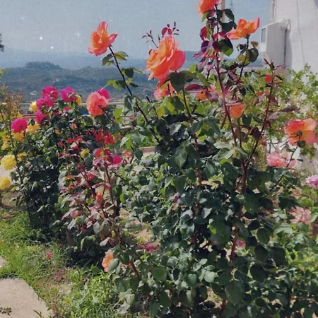 דירה Baso Hilltop 3